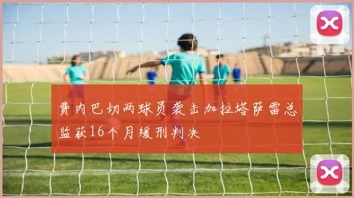 费内巴切两球员袭击加拉塔萨雷总监获16个月缓刑判决